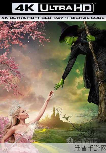 16-12HDXⅩXX4KHD：超高清魔幻冒险：16亿色彩的4K奇幻世界【专题】