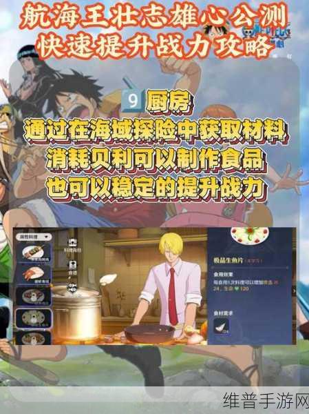 航海王壮志雄心，赏金战力飙升秘籍