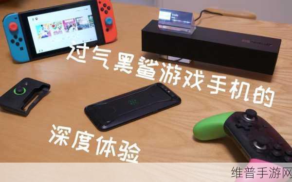 探寻回忆之谜，安卓版游戏下载全攻略与深度体验