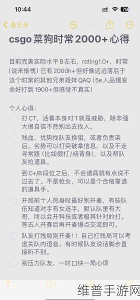 CSGO暴躁老姐的CSGO心得分享：CSGO手游大神教你上分，萌妹子带你飞！【专题】