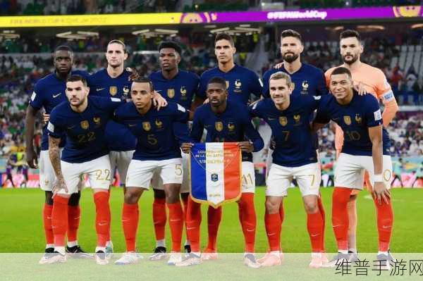2022年卡塔尔FIFA世界杯四强球队是哪四个?:2022卡塔尔世界杯四强球队大揭秘!快来测测你猜对了几个?【专题】
