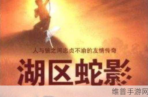 狼窝电影:狼影视频【专题】