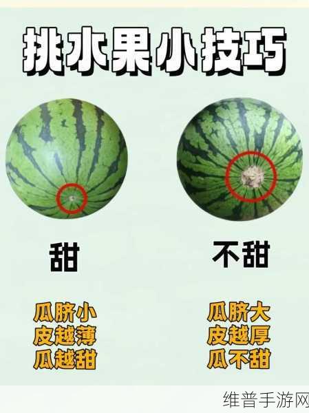 51今日大瓜 热门大瓜往期内容:热门瓜料:精彩回顾大全【专题】