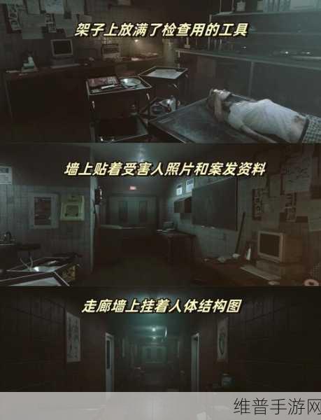探索生命奥秘，尽在生命人体模拟器中文版——高度贴近生活的模拟游戏攻略