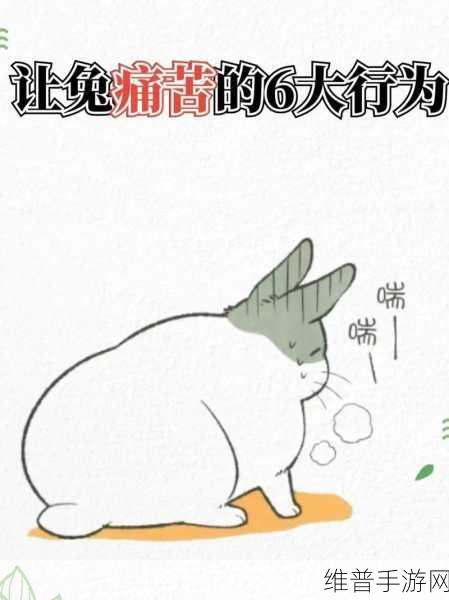 大白兔衬衫里面抖来抖去：兔兔衣衫凌乱，抖动不停【专题】