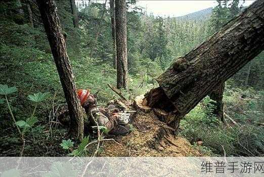 清新伐木建造之旅，加入伐木工免广告下载全攻略