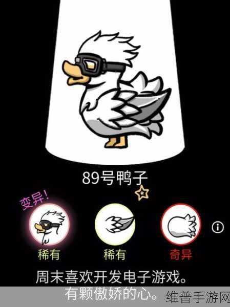 会说话的鸭子模拟下载，探索清新画面中的鸭子冒险之旅
