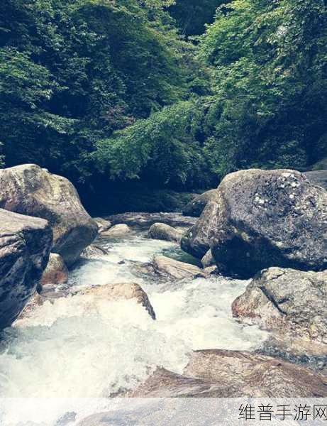 两峰夹小溪地湿又无泥诗：溪谷探险：寻找神秘湿地【专题】
