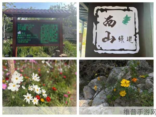 两峰夹小溪地湿又无泥诗:溪谷探险:寻找神秘湿地【专题】