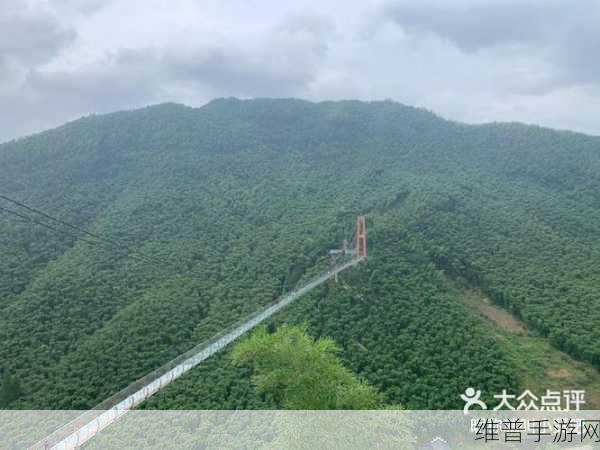 卧虎藏龙贰桃花谷霸体木桩位置全解析