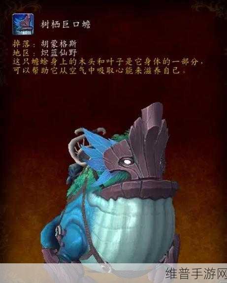魔兽世界漂亮坐骑大全：《魔兽世界》稀有坐骑获取攻略：打造你的专属座驾【专题】