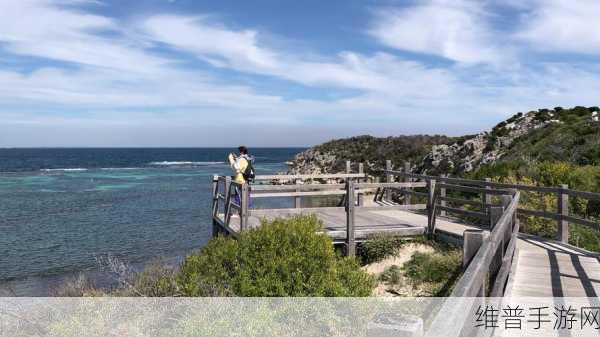 搁浅岛生存Stranded Island,全面攻略与游戏下载指南