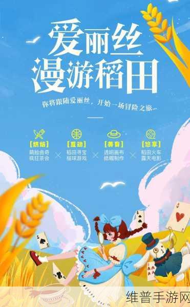 开始慢慢迎迎合:开启你的冒险之旅【专题】