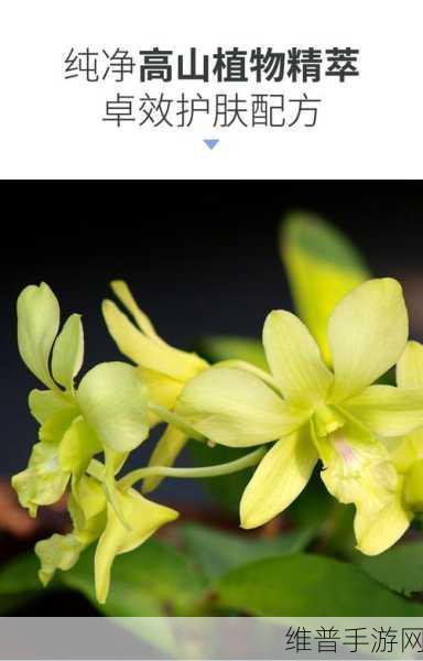 以闪亮之名蕴香凝露套装轻松获取攻略