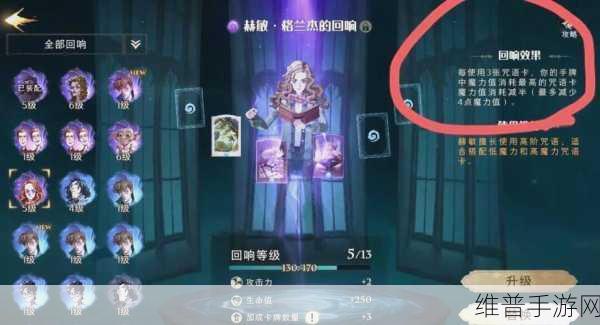 哈利波特魔法觉醒，动物园流派称霸魔法世界的秘籍
