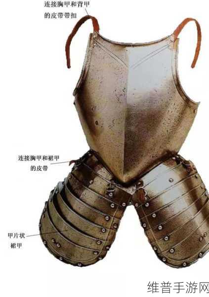 君王板甲套装图纸获取办法:【攻略】轻松获取SSR君王板甲套装图纸 速刷必看【专题】