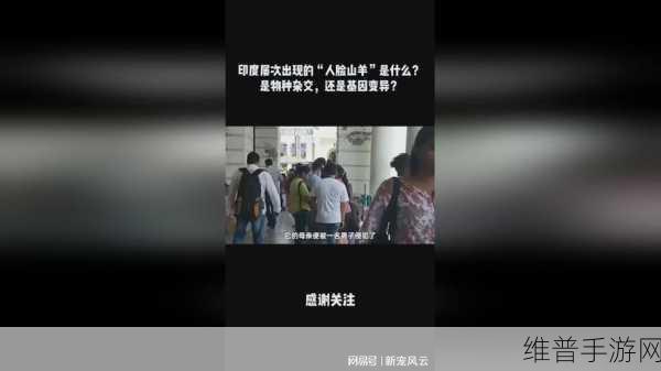 韩国三色电费2024免费吗怎么看：韩服三色电费2024最新查询攻略【专题】