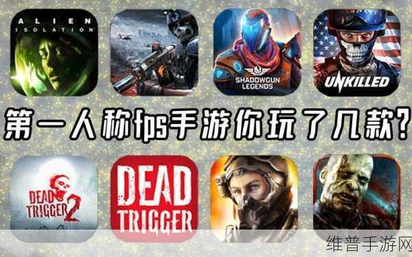 极限突击射手,沉浸式第一人称射击游戏体验全解析