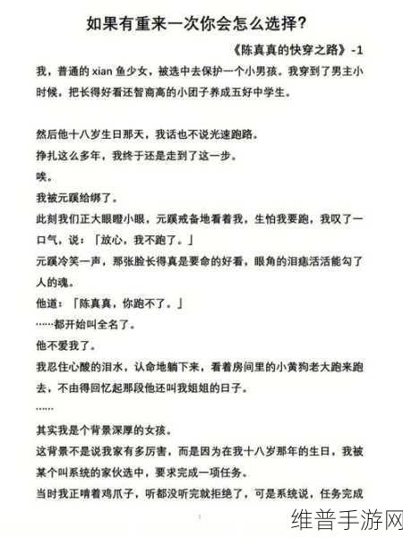 六九老师机：六九大师的养成之路【专题】