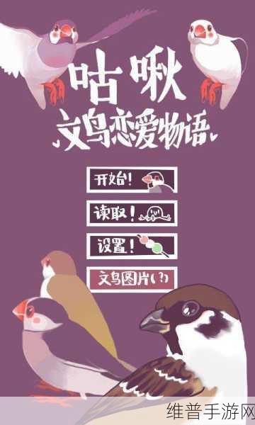 咕啾文鸟恋爱物语，AVG玩法鸟类恋爱养成手游深度攻略