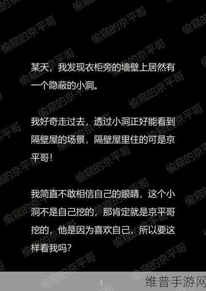 母亲与儿子偷窥的小说：母子情深：寻找真相的冒险【专题】