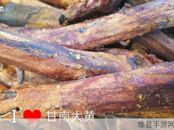 麻豆精产国品一二三产区区别免费：精品农产区探索之旅【专题】