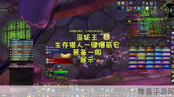 巫妖王生存猎一键输出宏:冰封王座:亡灵猎手一键连招【专题】