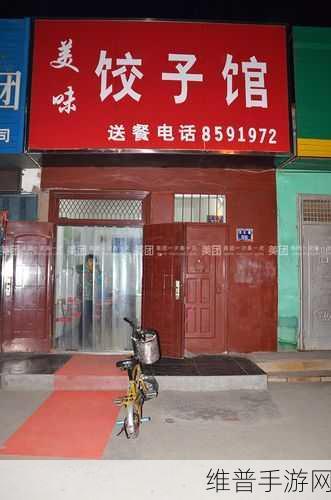 美味流动饺子车手游下载，解锁趣味模拟经营新体验