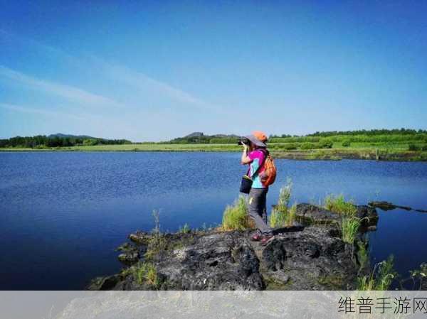 47147大的人文艺术欣赏：艺术之旅：探索人文之美【专题】