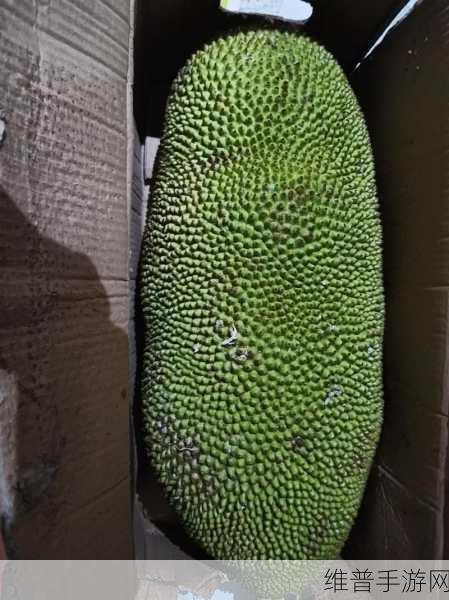 菠萝菠萝菠萝蜜视频在线观看1：【爆笑】菠萝菠萝蜜搞笑短视频合集【专题】