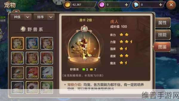 魔力幻想手游下载全攻略，探索魔幻题材回合制游戏的无限魅力