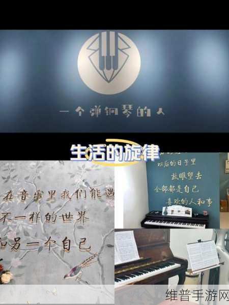 指尖跃动旋律，探索指尖节奏插头游戏的奇妙连线闯关之旅