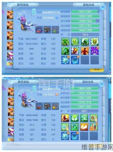 神武佛门秘籍，全面攻略助你称霸江湖