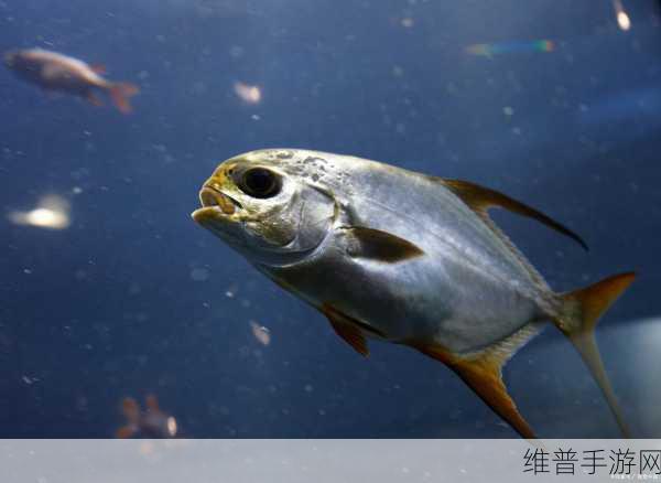 小小渔夫官方版下载，解锁海洋冒险的闯关游戏全攻略