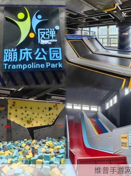 蹦蹦跳跳的家伙，解锁卡通跳跃闯关新乐趣的游戏下载指南