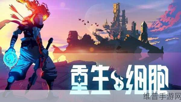 全民大碰撞手游下载,探索弹射消除新乐趣的休闲之选