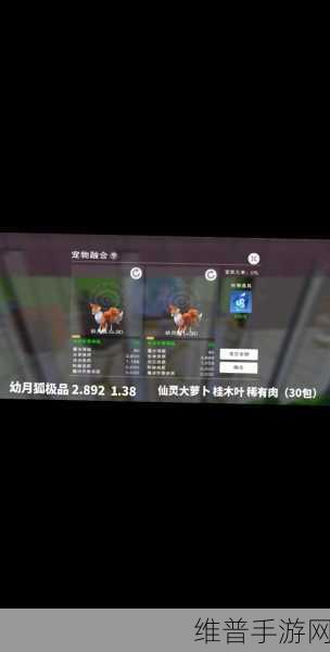 创造与魔法，青丘仙资质探秘与攻略指南