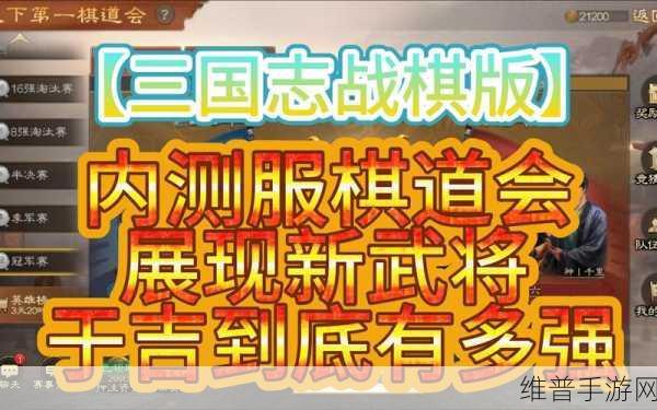 三国志战棋版于吉求雨外传通关秘籍大揭秘
