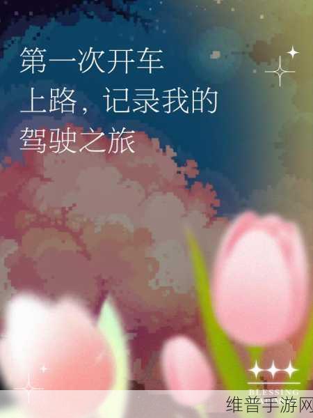 小清新驾驶之旅，生态司机无限金币版下载全攻略