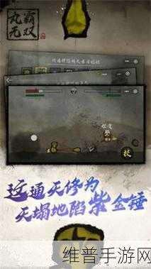 丸霸无双手机中文版下载，解锁冒险竞技新体验