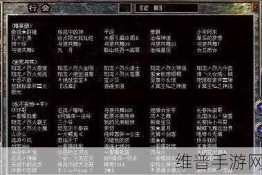 传奇战士必备，全身装备名称全解析