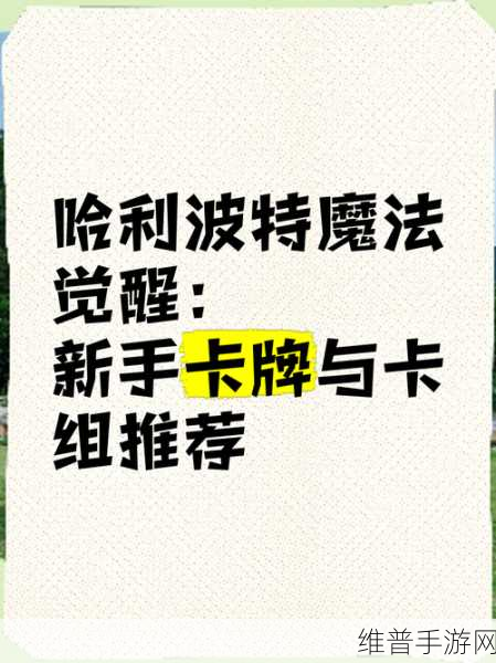 哈利波特魔法觉醒，多比卡组搭配秘籍