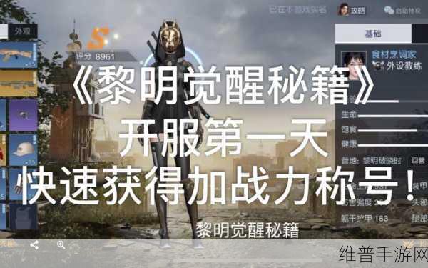黎明觉醒，战斗力飙升秘籍大公开