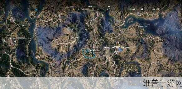 孤岛惊魂 5 刷钱秘籍，最佳地点大揭秘