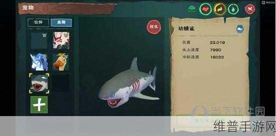 魔法与创造手游，鲨鱼饲料制作全攻略