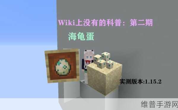 我的世界，海龟孵化秘籍大公开