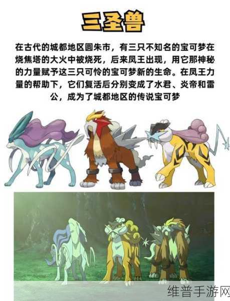 宝可梦大探险帕路奇亚深度解析，实用性、宾果与方石搭配指南