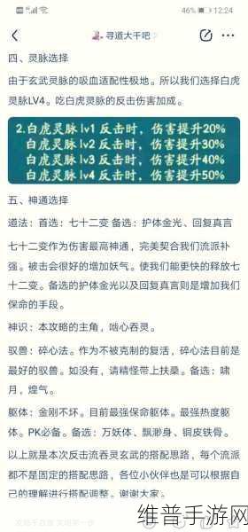 寻道大千玄武流派全方位解析与选择指南