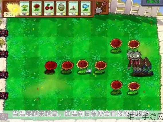 食人植物游戏下载,探索奇妙植物世界的有趣好玩模拟养成之旅