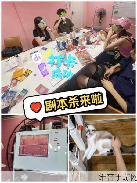 戏精大侦探下载，解锁明星综艺同款烧脑推理新体验